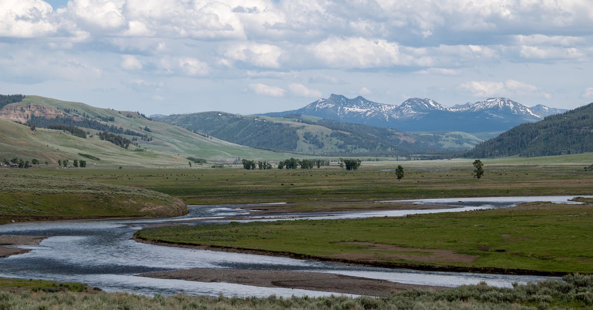 découvrez l'importance de la préservation des preuves électroniques, un aspect crucial dans les enquêtes judiciaires et la sécurité des données. apprenez les meilleures pratiques et les outils indispensables pour garantir l'intégrité et l'authenticité des données numériques.