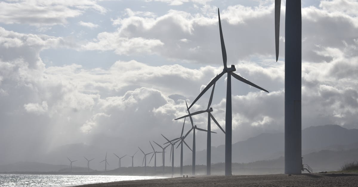 découvrez les principes du développement durable, une approche qui vise à concilier croissance économique, protection de l'environnement et équité sociale. apprenez comment adopter des pratiques durables dans votre quotidien pour un avenir meilleur.