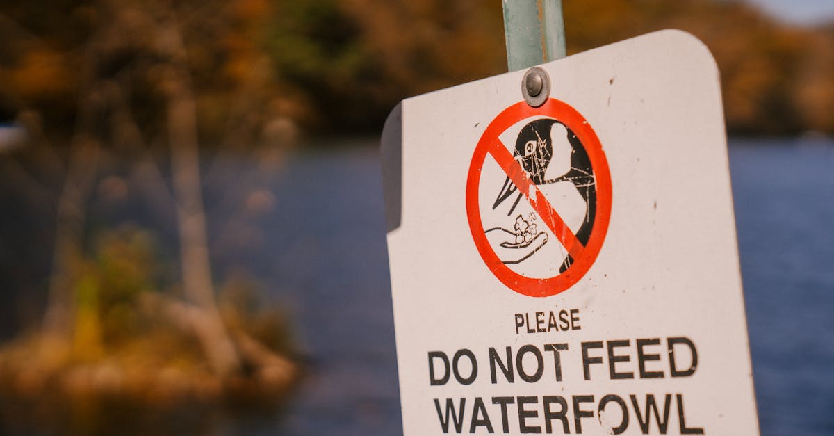 Comprendre la réglementation : enjeux et impacts sur les entreprises