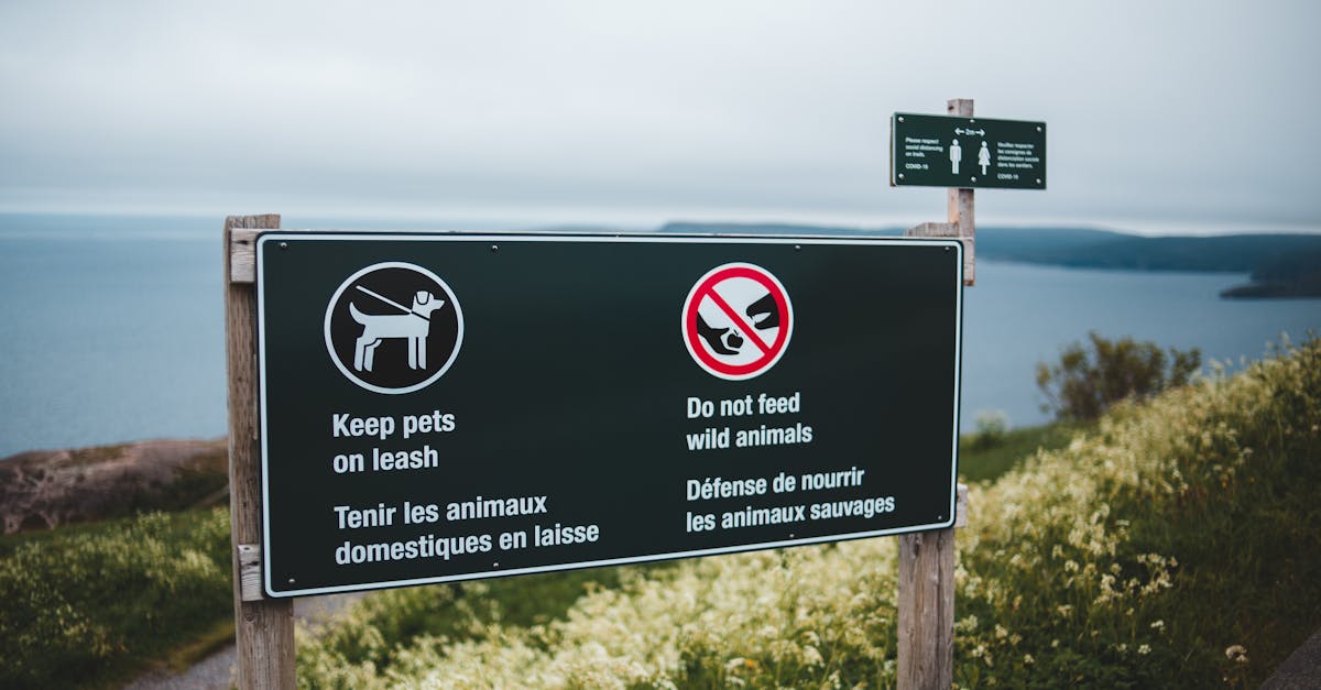 Règlementation en cybersécurité : comprendre les enjeux et les normes actuelles