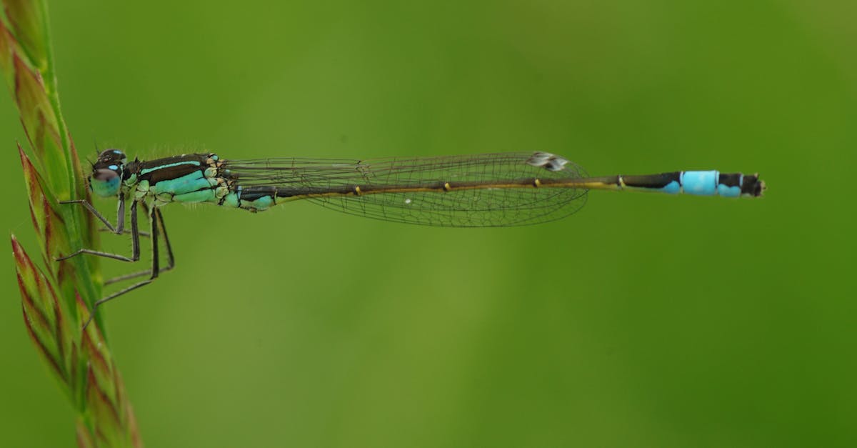 Quasi-délit : Comprendre les implications juridiques et sociales