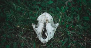 Enregistrement des preuves électroniques : guide essentiel pour la conservation de vos données