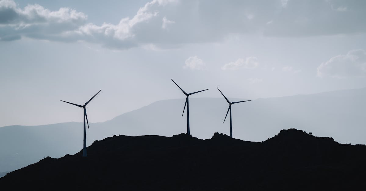découvrez les principes du développement durable, une approche essentielle pour préserver notre planète tout en répondant aux besoins des générations actuelles et futures. apprenez comment allier écologie, économie et société pour un avenir plus vert.