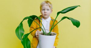 Responsabilité : comprendre son impact dans notre société
