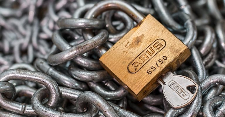 Accès sécurisé : les meilleures pratiques pour protéger vos données en ligne