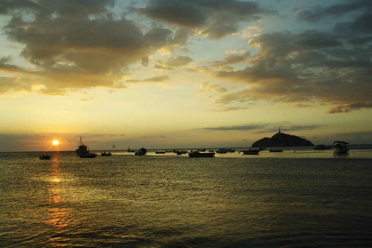 redis est une base de donn&eacute;es en m&eacute;moire open-source, rapide et performante, id&eacute;ale pour la gestion de caches, sessions et files d'attente dans les applications modernes.